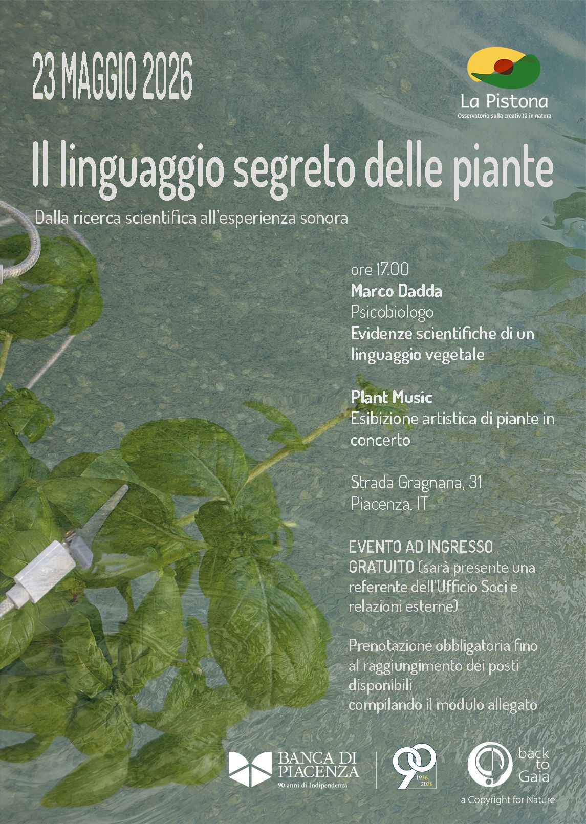 Il linguaggio segreto delle piante