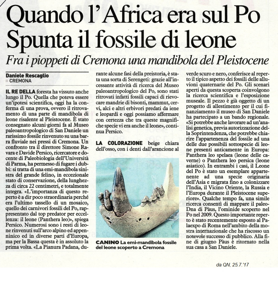 Africa era sul po