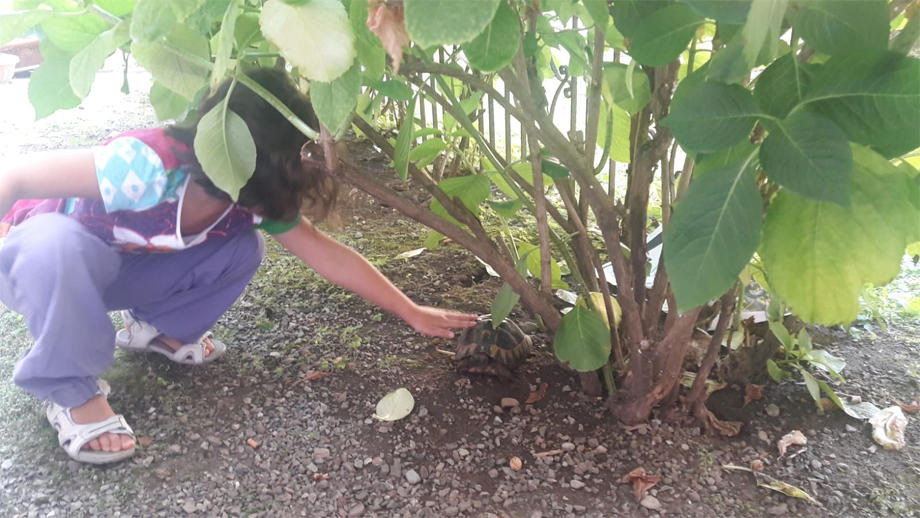 servizio di accoglienza per bambini (nurserie)