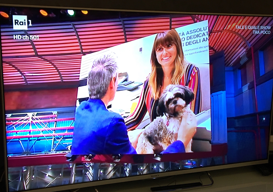 AMICI FEDELI alla Rai