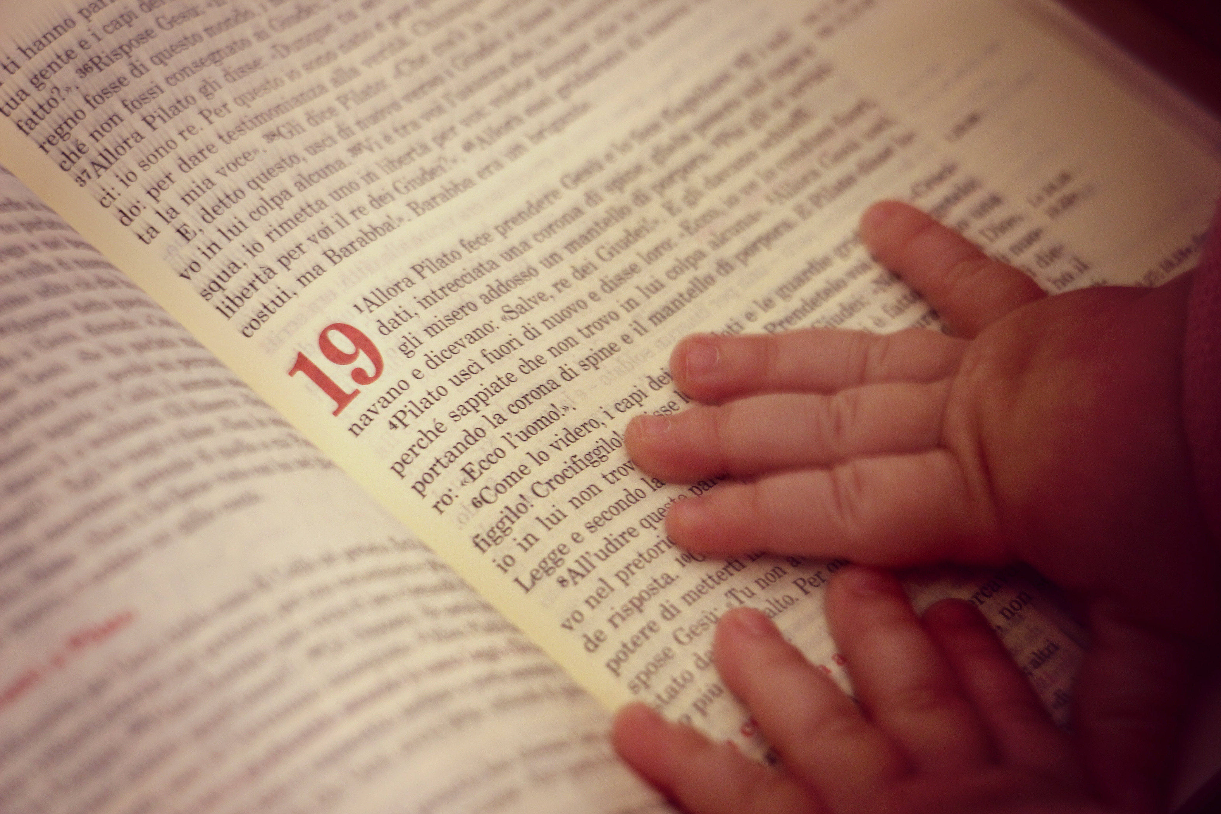 Banca di Piacenza, due opere piacentine vincono i concorsi di fotografia e pittura